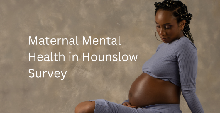 Image of pregnant lady cover of survey