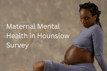 Image of pregnant lady cover of survey